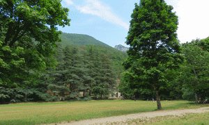 Wandelen in Forêt de Saou (Bos van Saou)