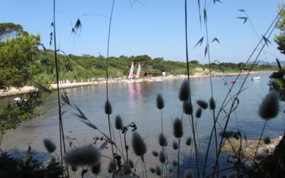 Hyeres_beach_klein